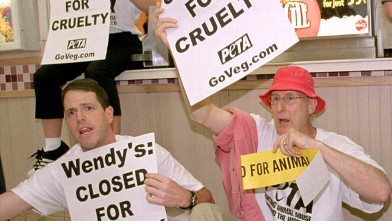 No es la primera protesta para Cromwell, que es miembro activo de PETA